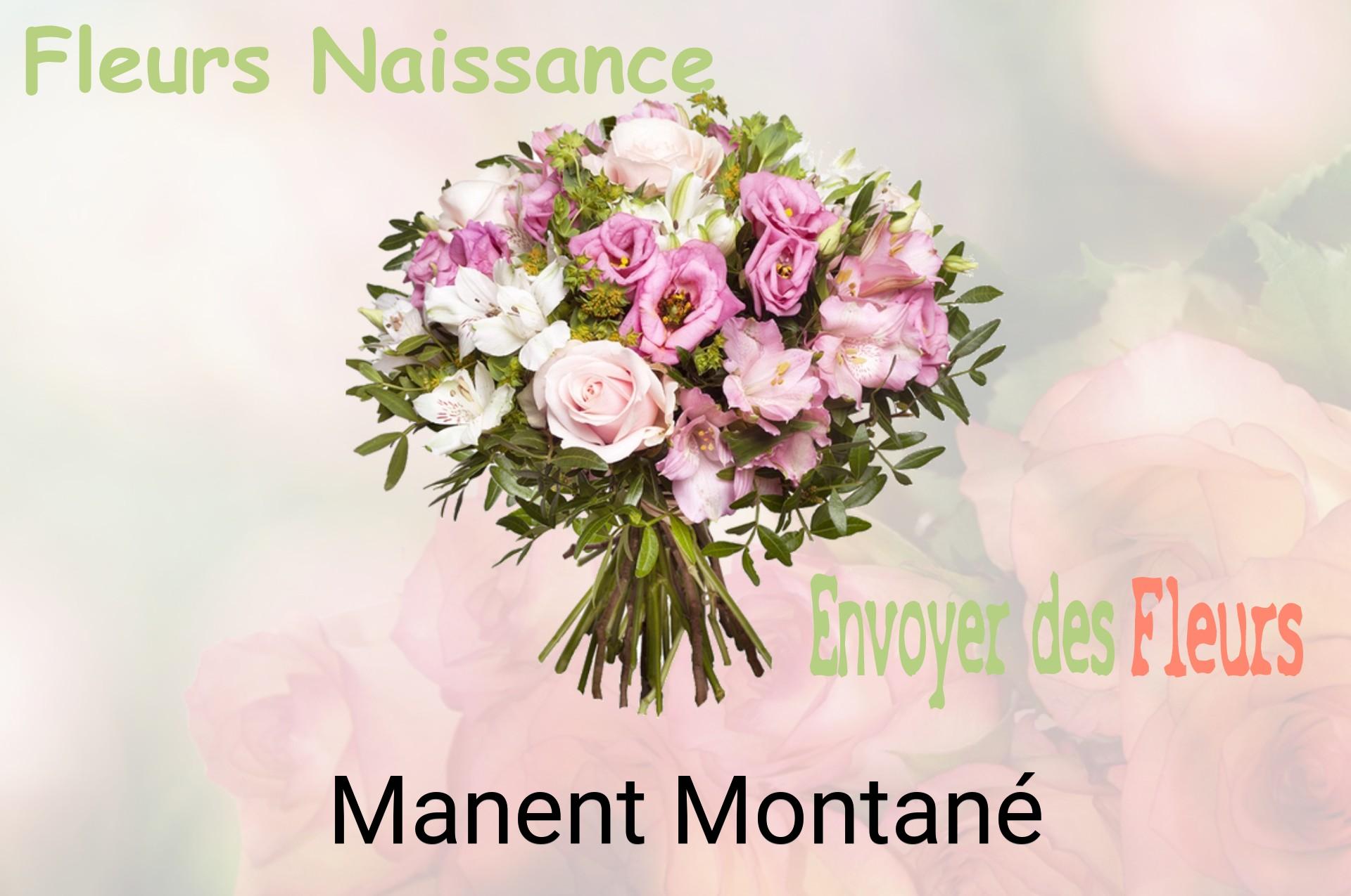 Bouquet de fleurs de naissance livré à Manent-Montané