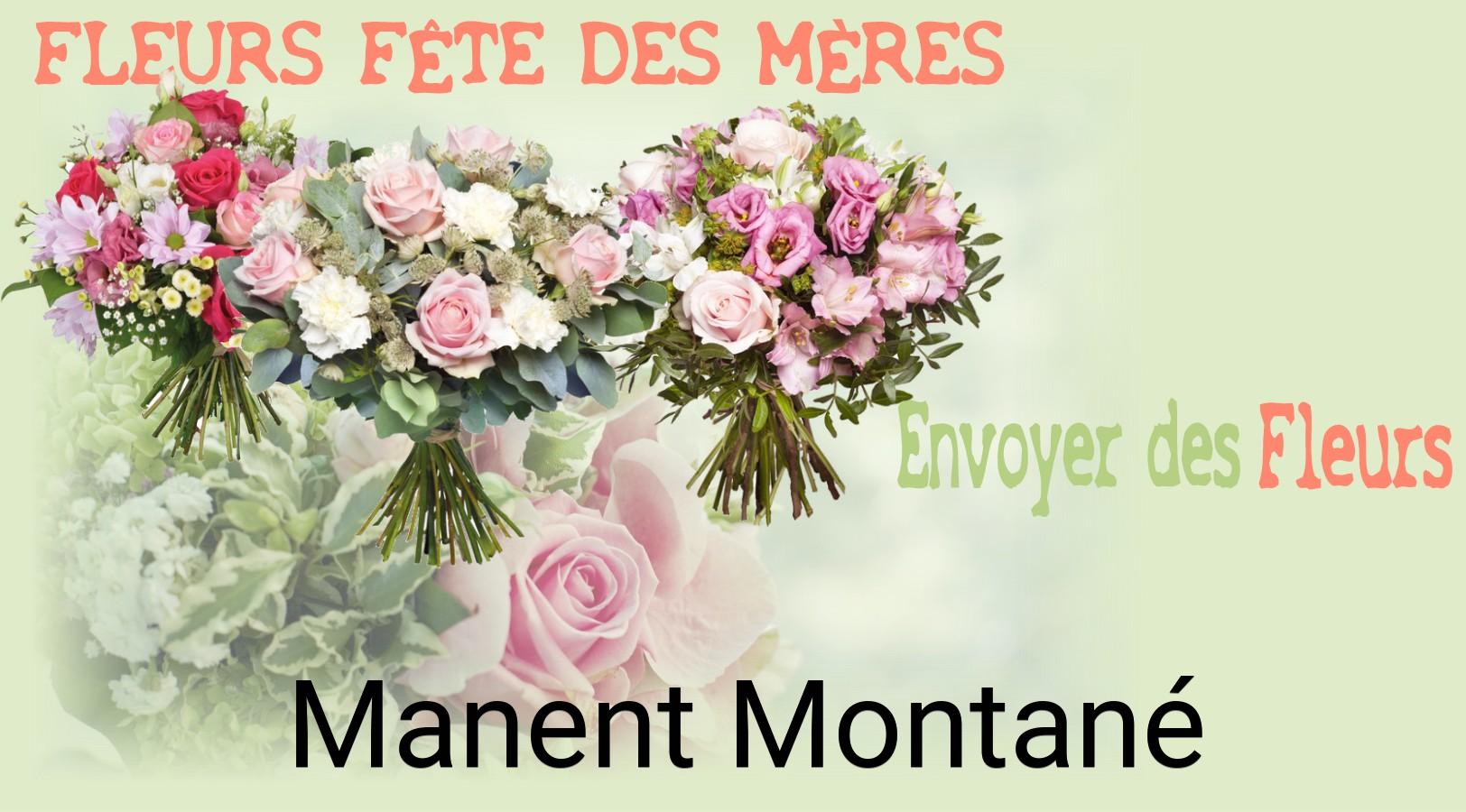 Bouquet de Fête des Mères livré à Manent-Montané